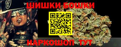 стаф Лесосибирск