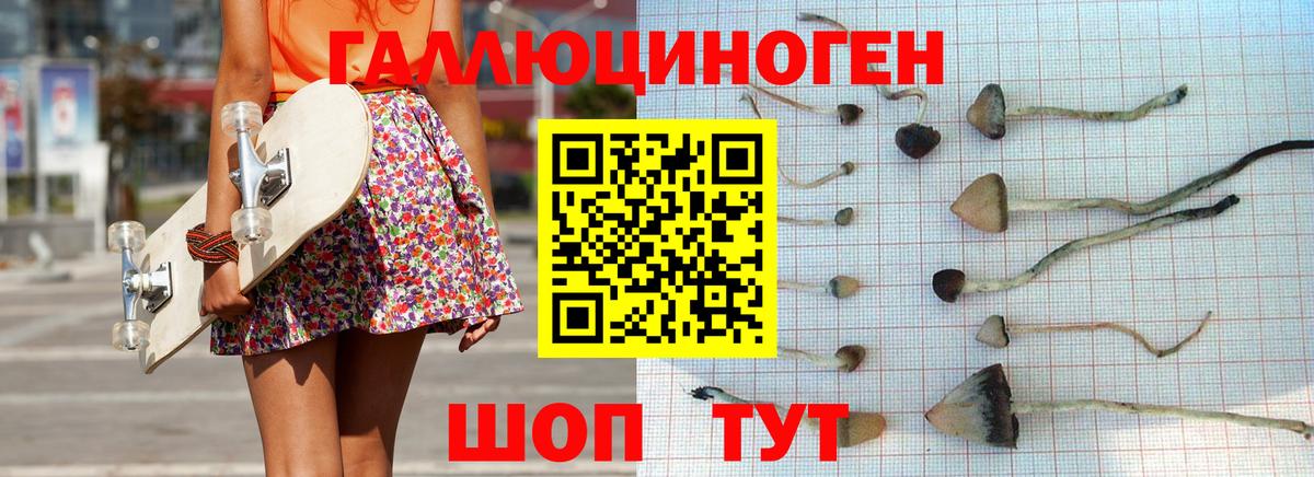 Псилоцибиновые грибы Cubensis Городец