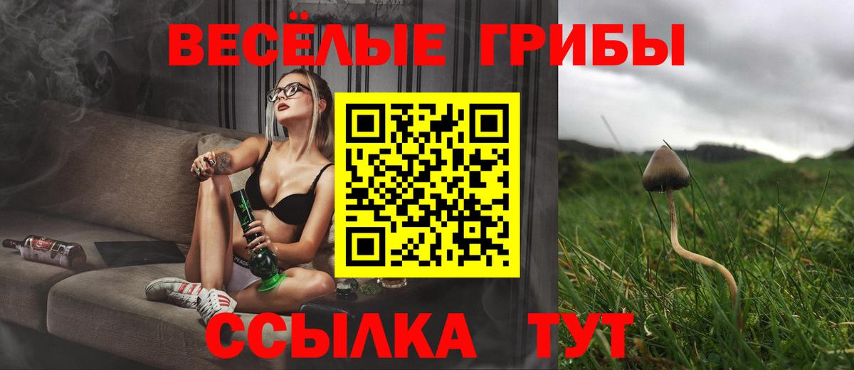 Городец  Галлюциногенные грибы Magic Shrooms  Вход с VPN 